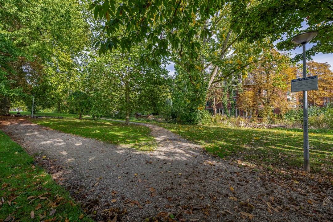 Foto 47 van Torckpark 30