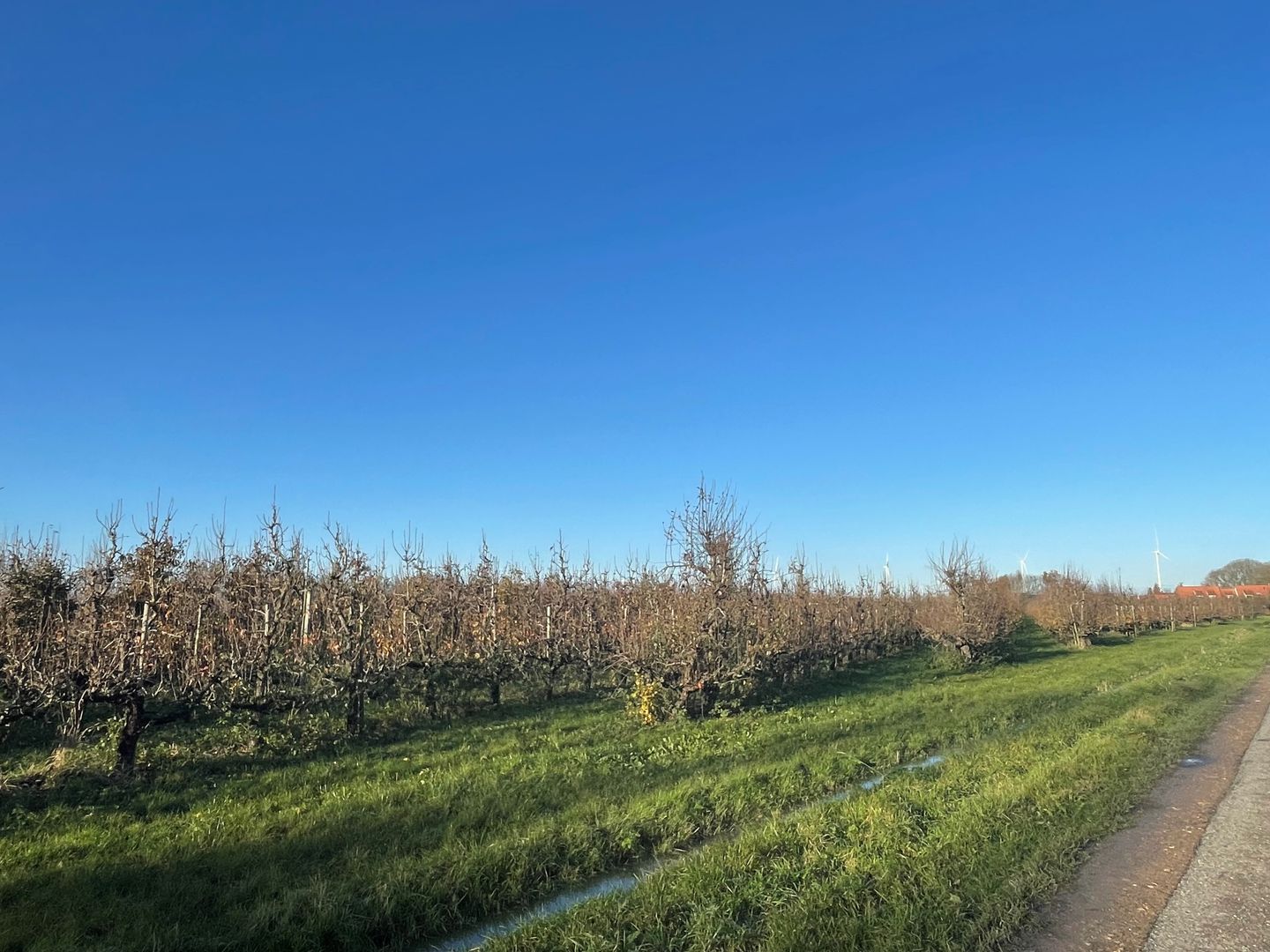 Slimweistraat - Waardenburg - Afbeelding 5