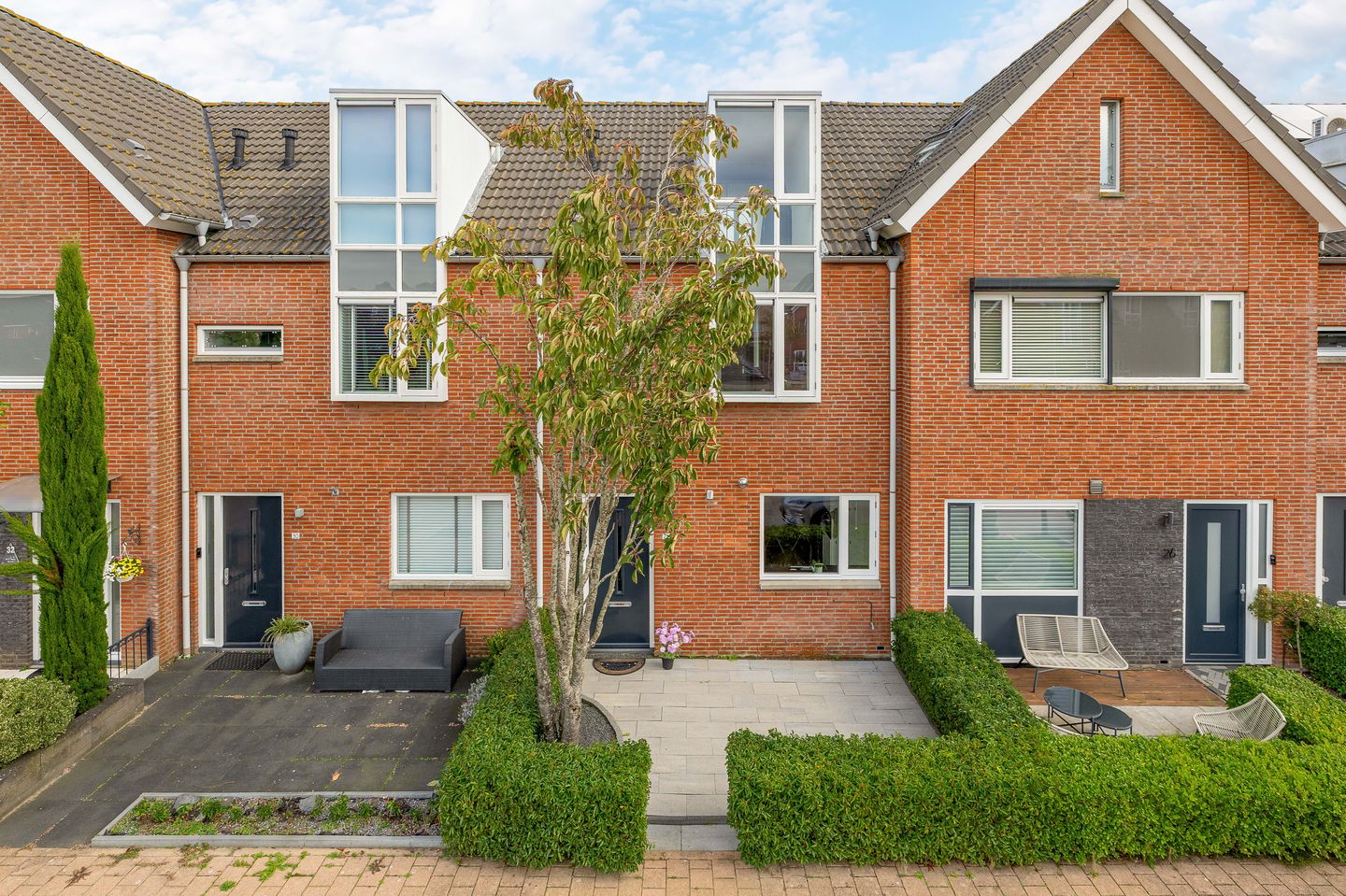 Foto 1 van Moerasvaren 28
