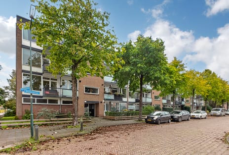 Troelstrastraat thumbnail