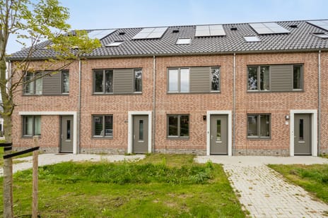 Havendijk thumbnail