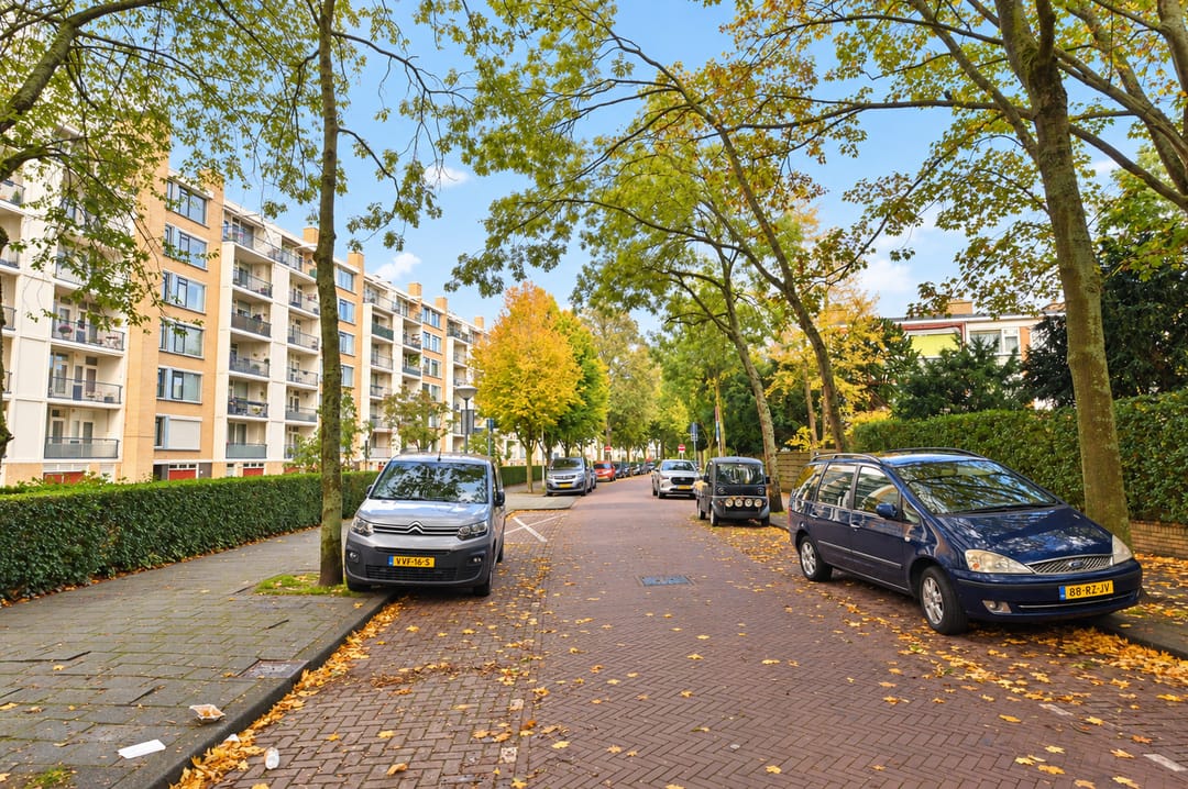Foto 46 van Landréstraat 439