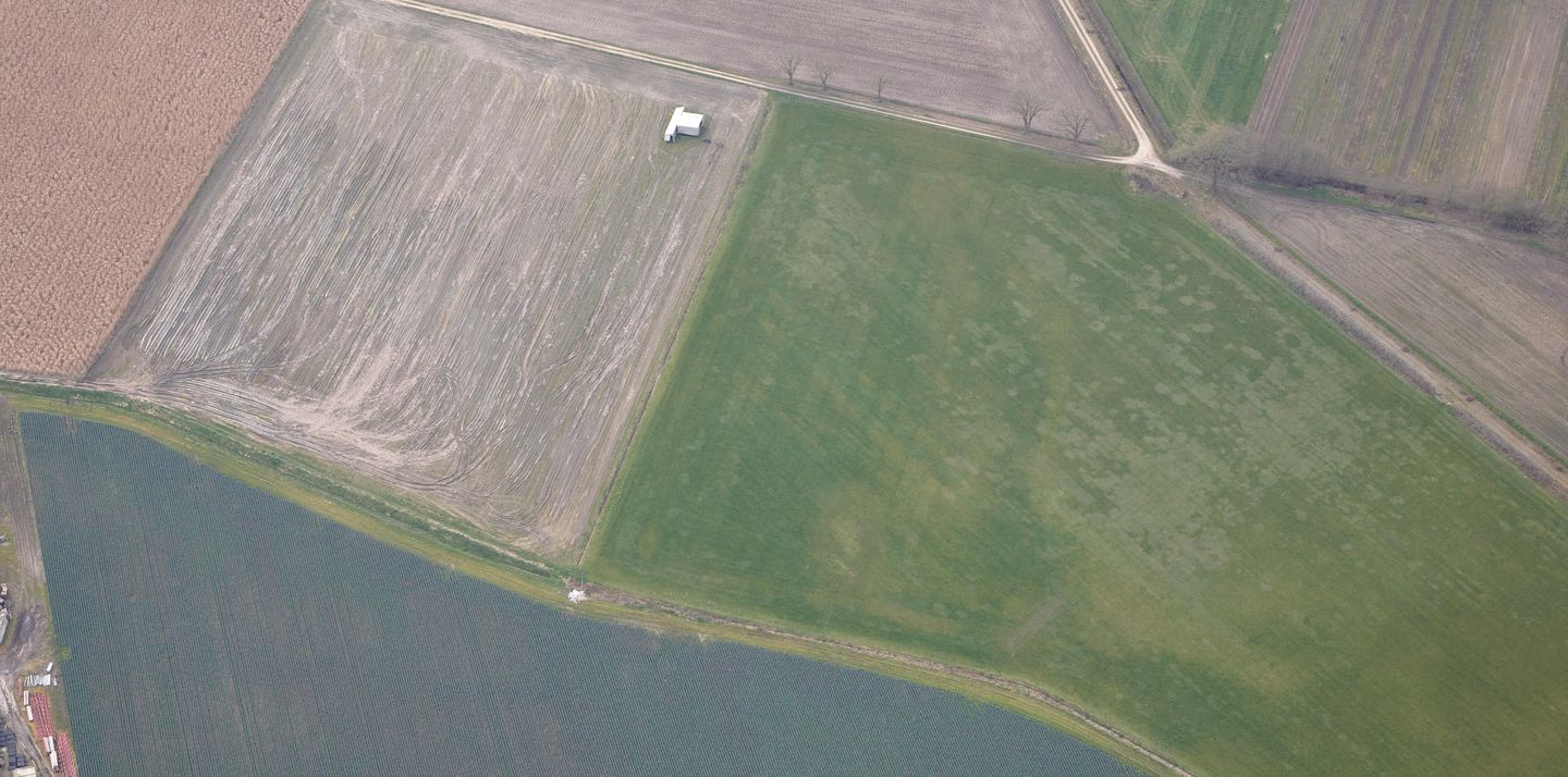 Nabij Maasbreeseweg - Koningslust - Afbeelding 7