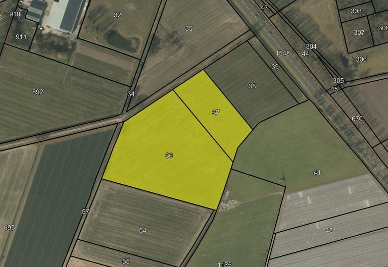 Nabij Maasbreeseweg - Koningslust - Afbeelding 1