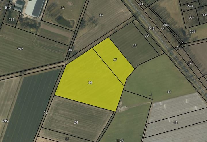 Nabij Maasbreeseweg, Koningslust