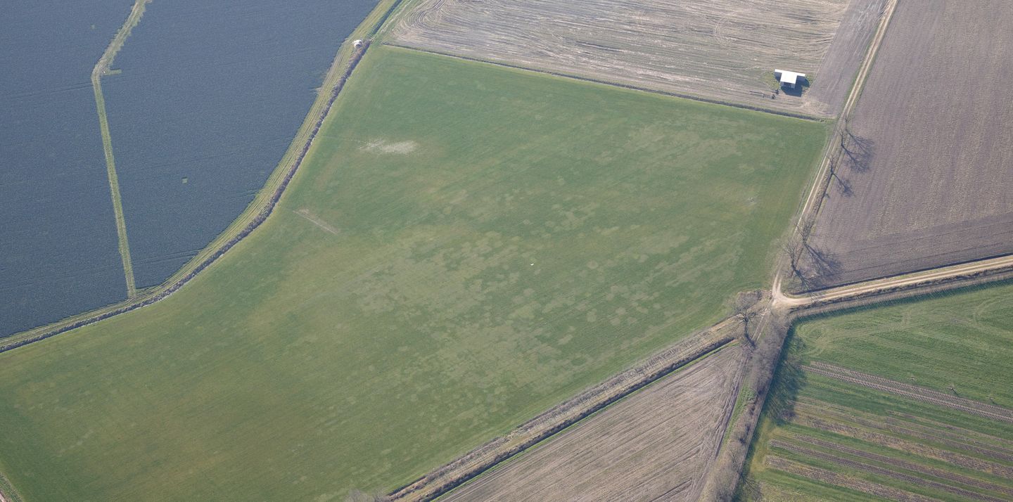 Nabij Maasbreeseweg - Koningslust - Afbeelding 6