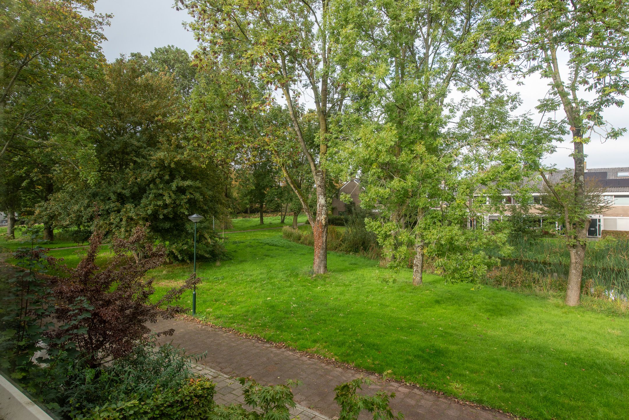 Photo 18 of Termijen 60