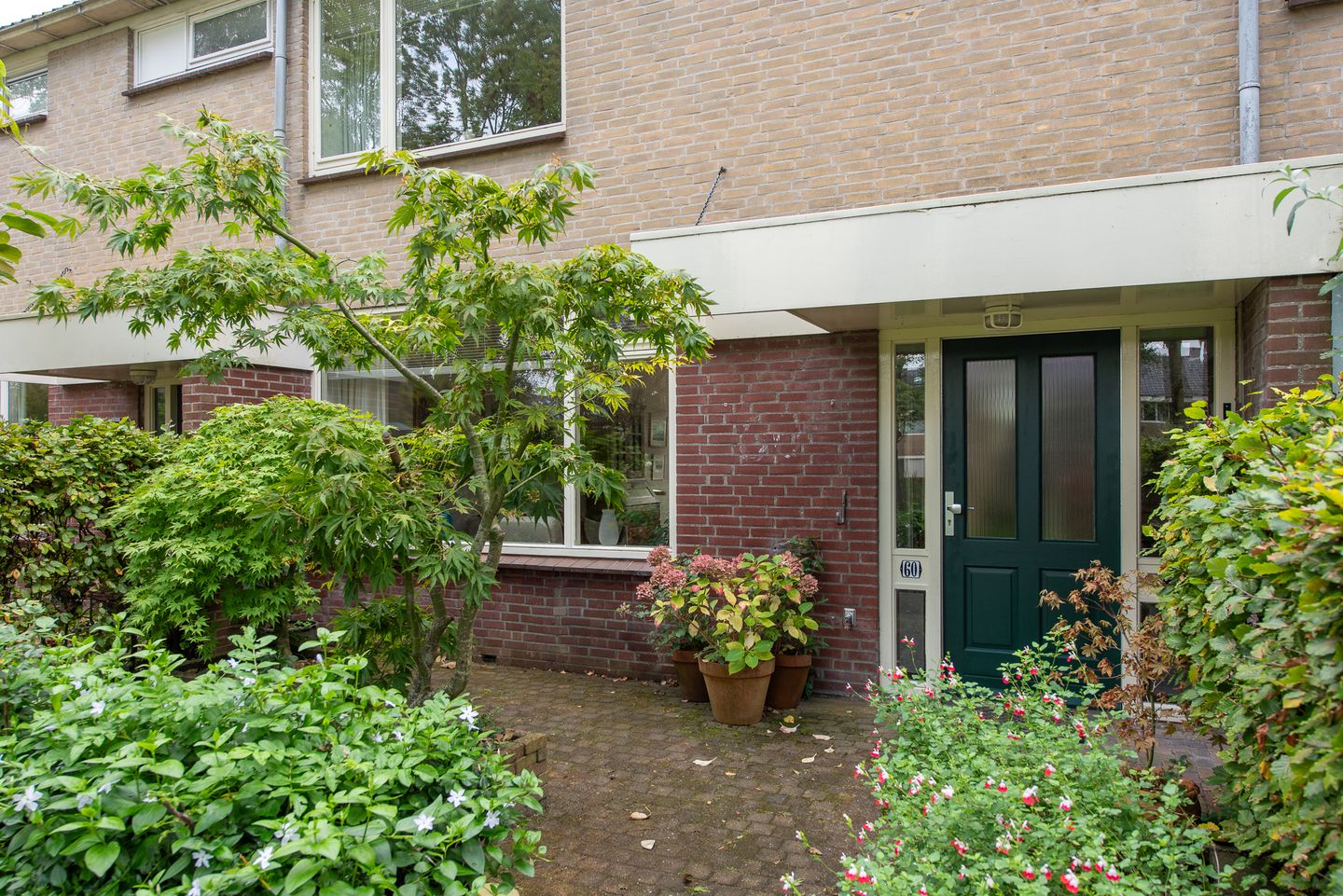 Photo 50 of Termijen 60