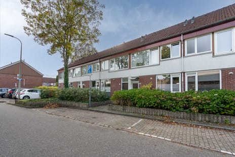 Adriaen Brouwerstraat thumbnail