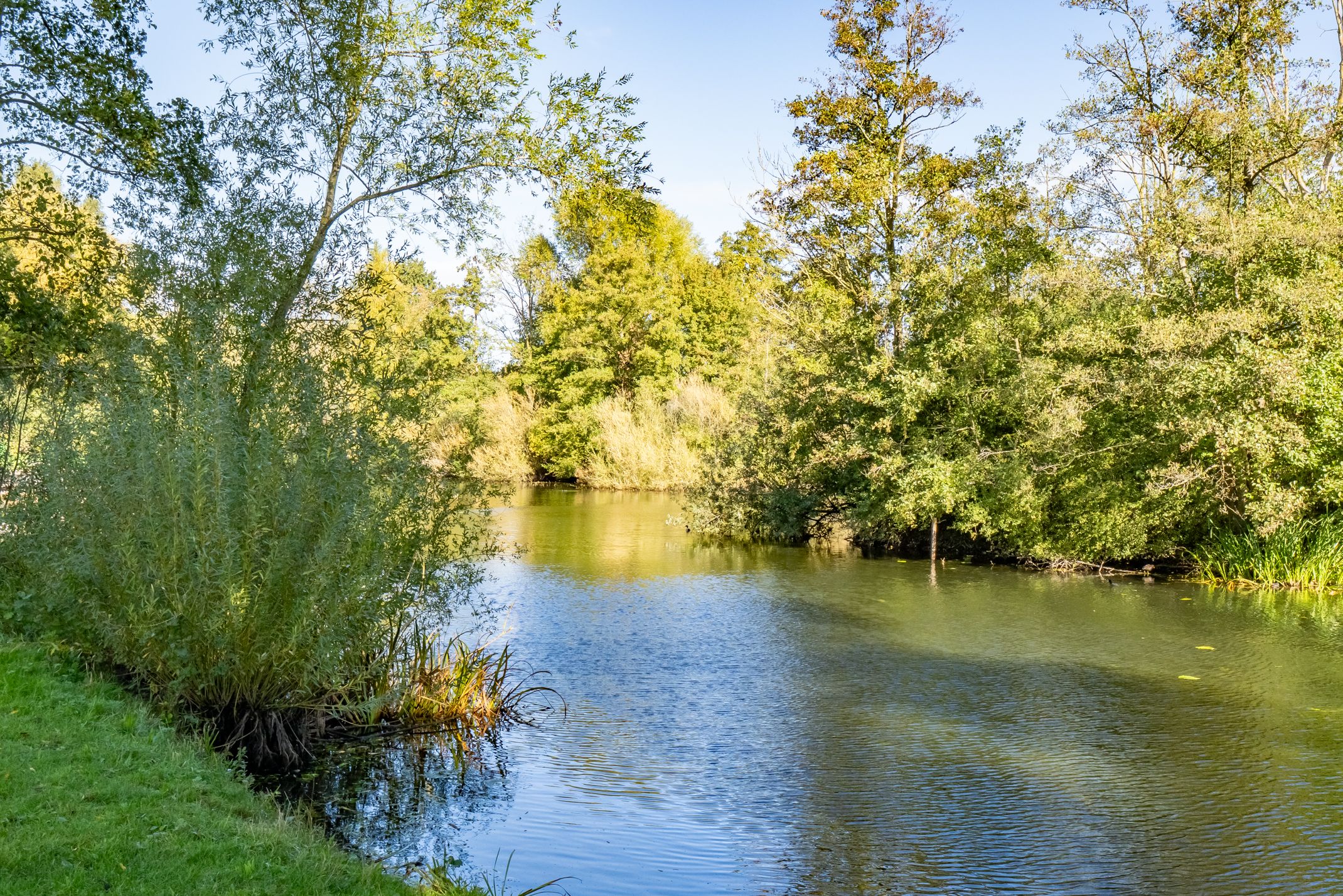 Photo 6 of Distelvlinderberm 46