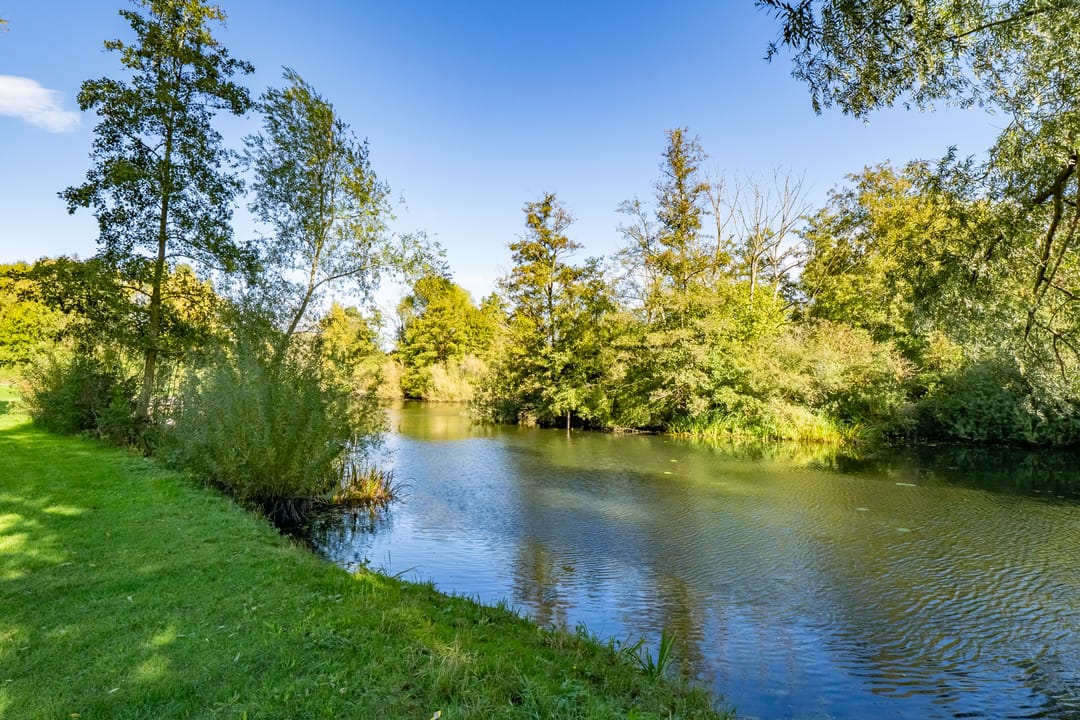 Photo 47 of Distelvlinderberm 46