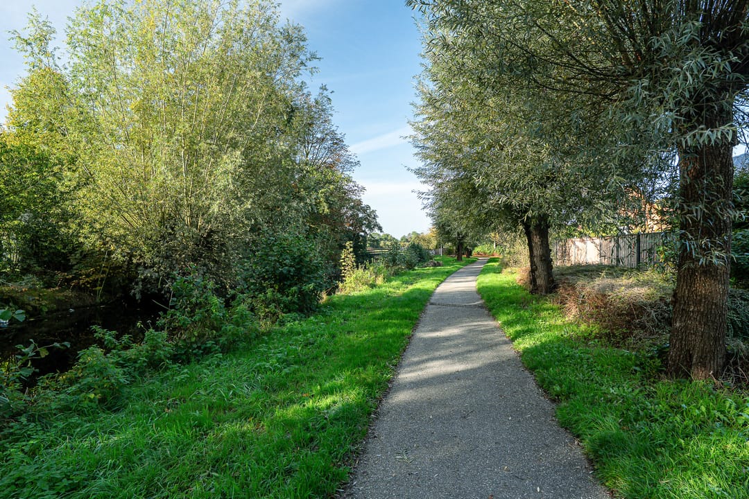 Foto 46 van It Heechhout 5