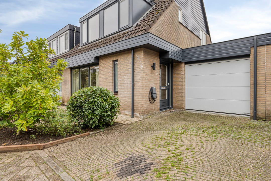 Photo 8 of Ooievaar 7