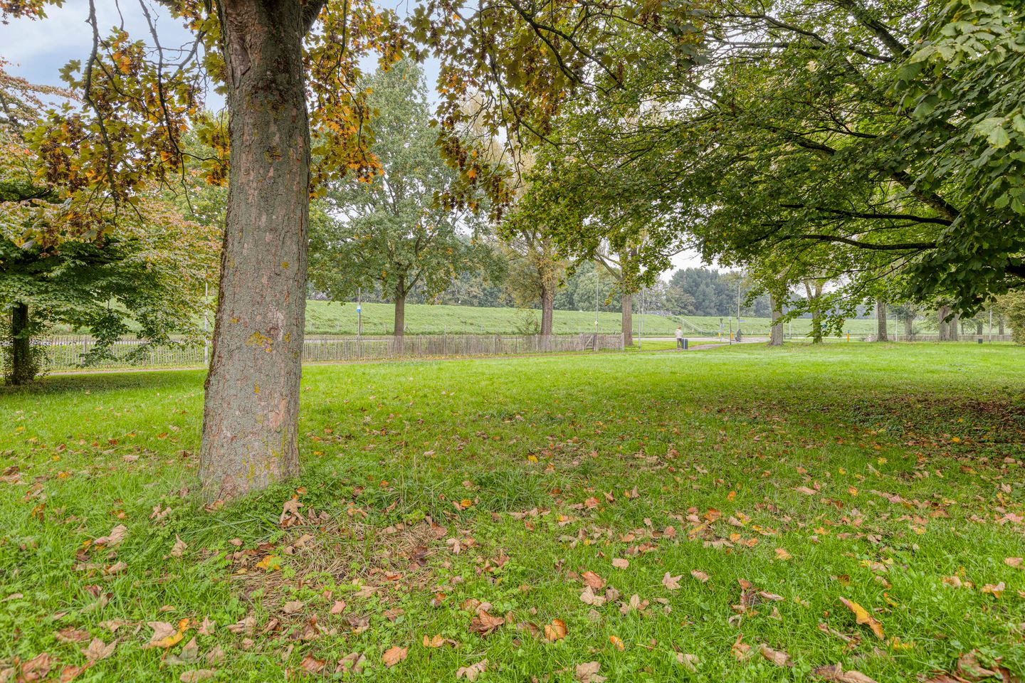 Photo 50 of Ooievaar 7
