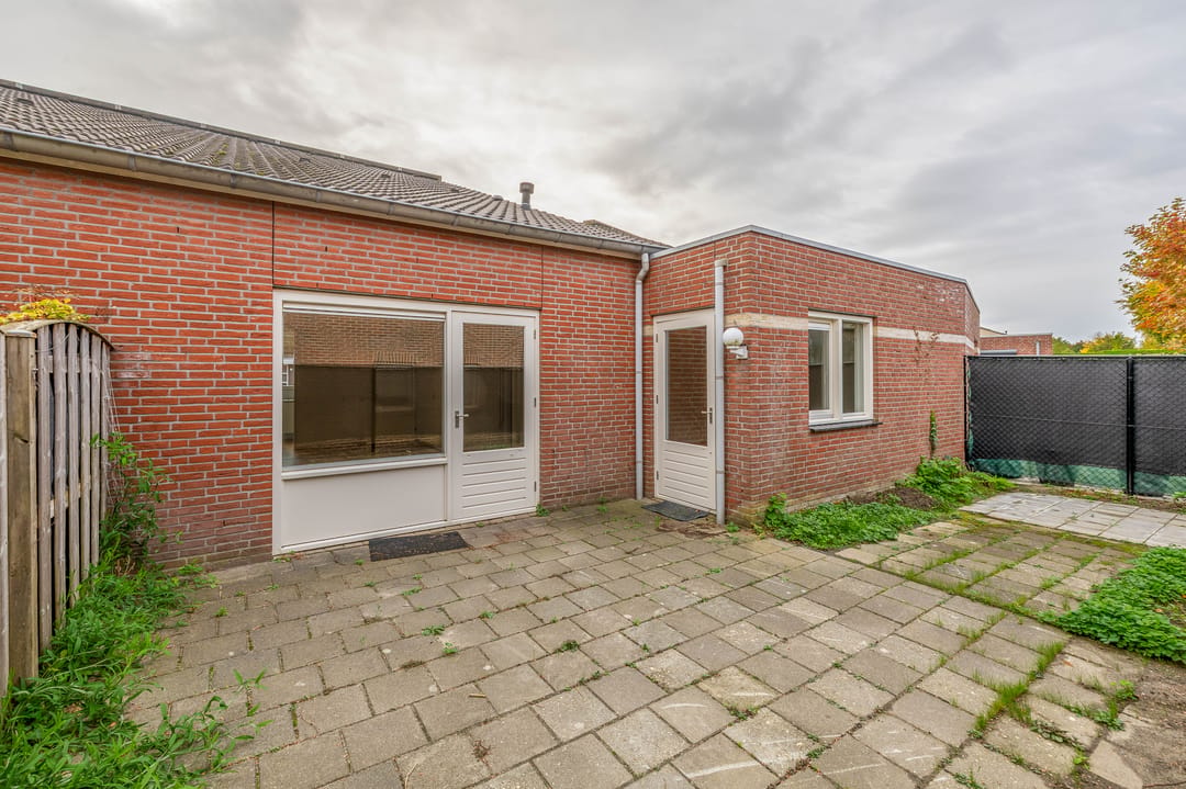Photo 22 of Honingklaver 10