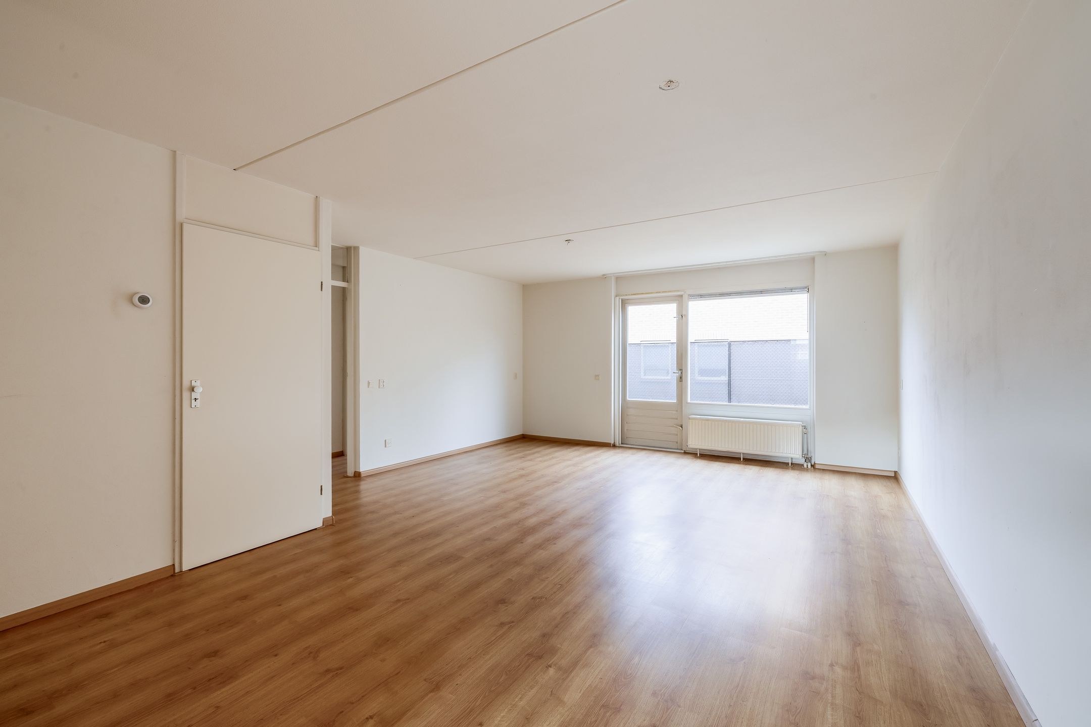 Photo 3 of Honingklaver 10