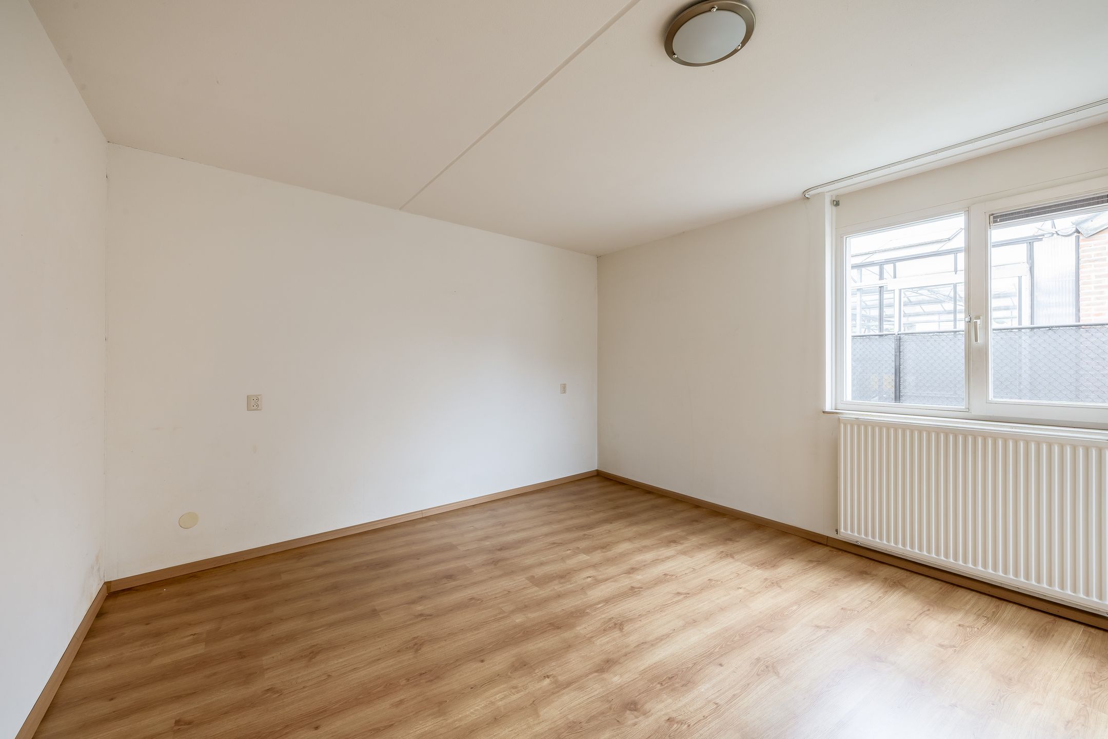 Photo 9 of Honingklaver 10