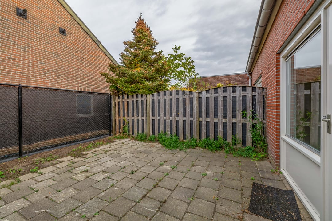 Photo 26 of Honingklaver 10
