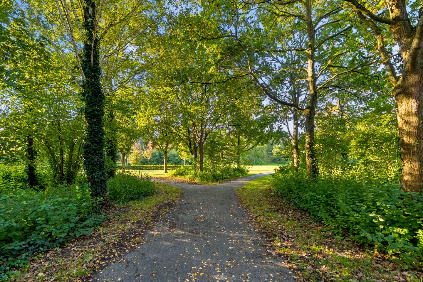 Photo 40 of Louis Armstrongweg 60-H