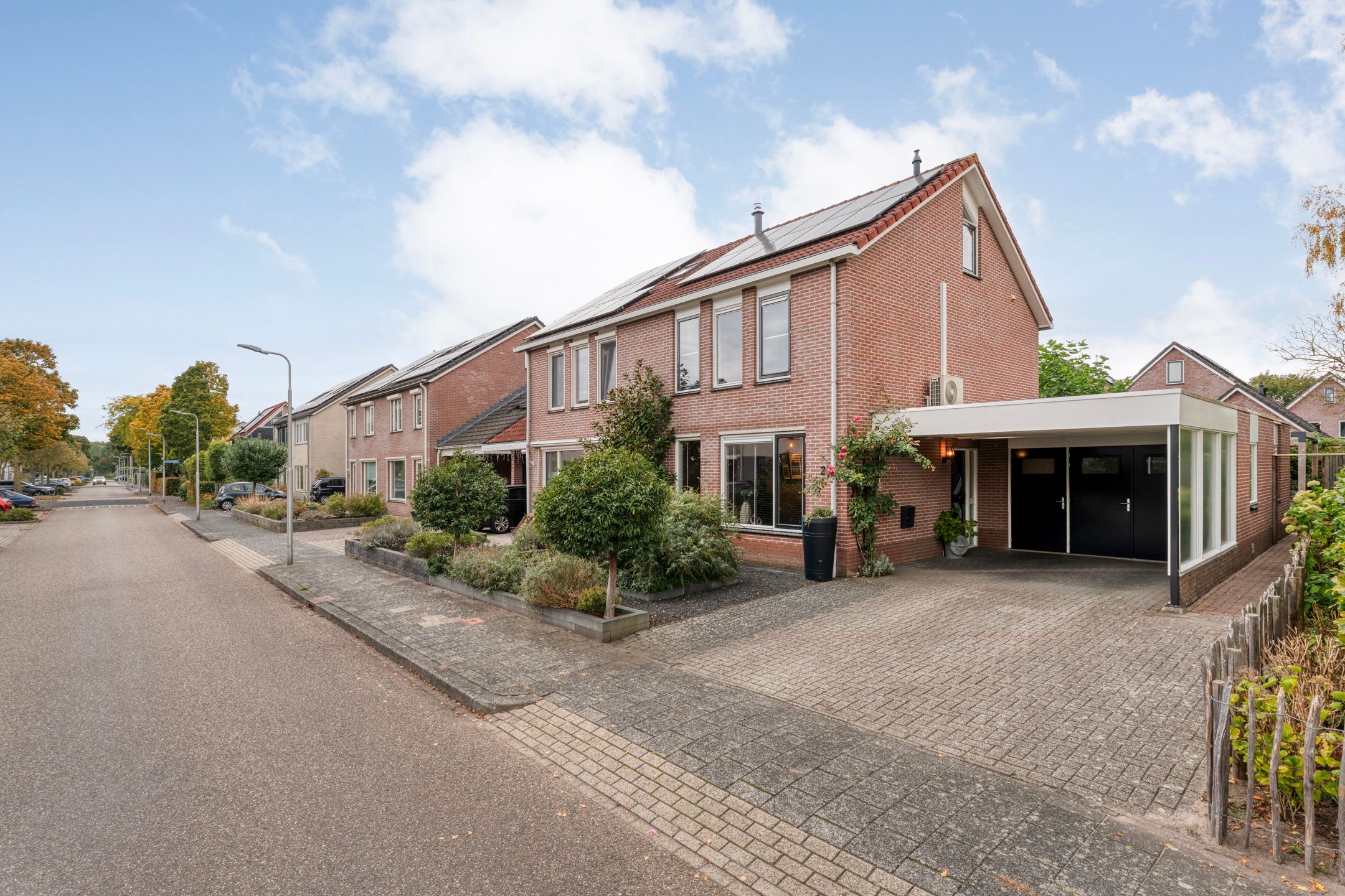 Photo 9 of Boterbloem 23