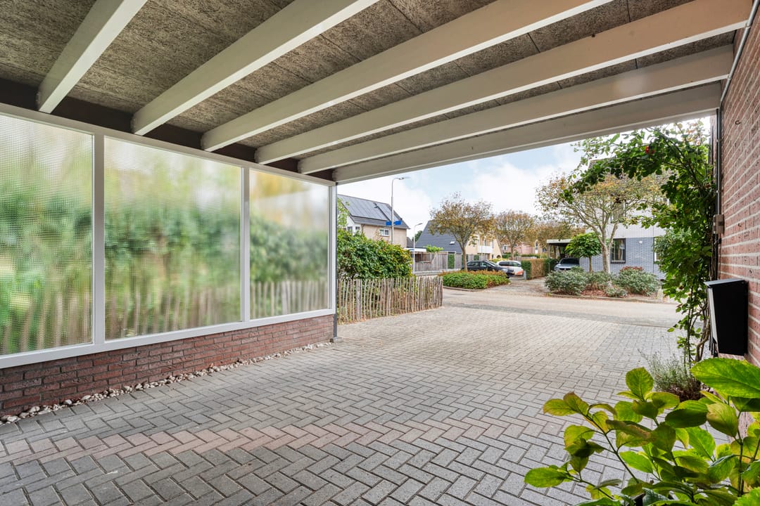 Photo 11 of Boterbloem 23