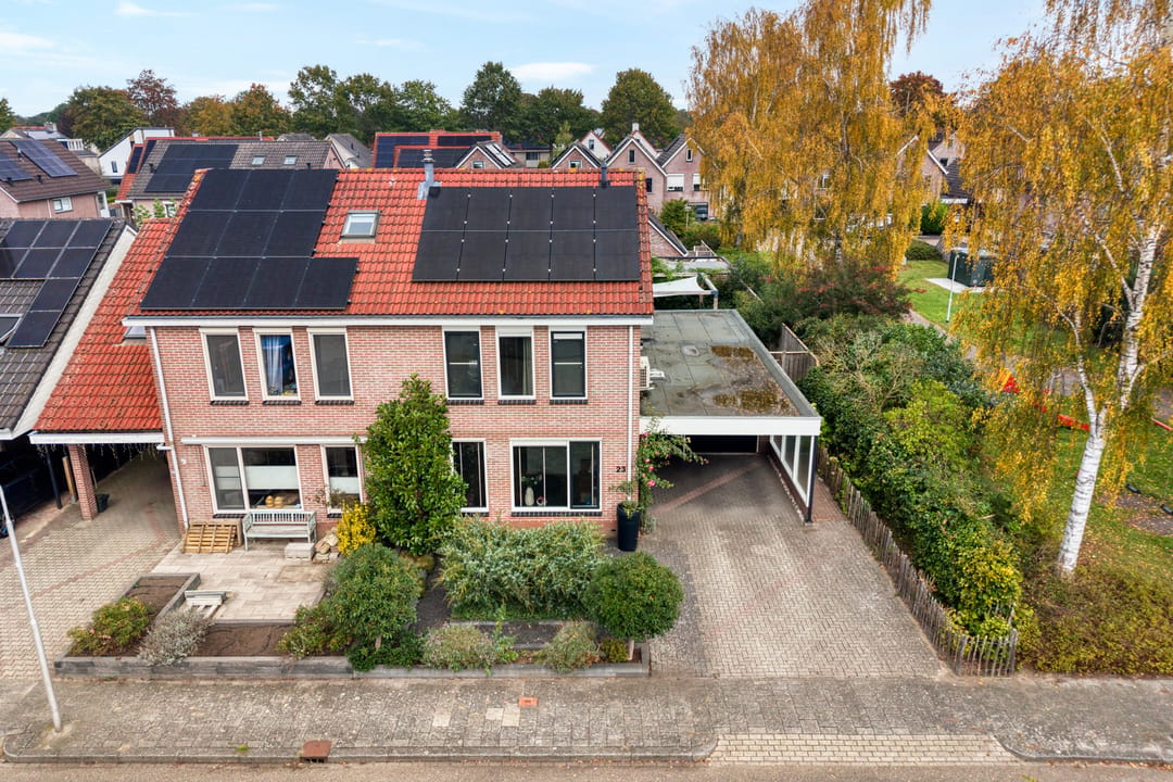 Photo 7 of Boterbloem 23