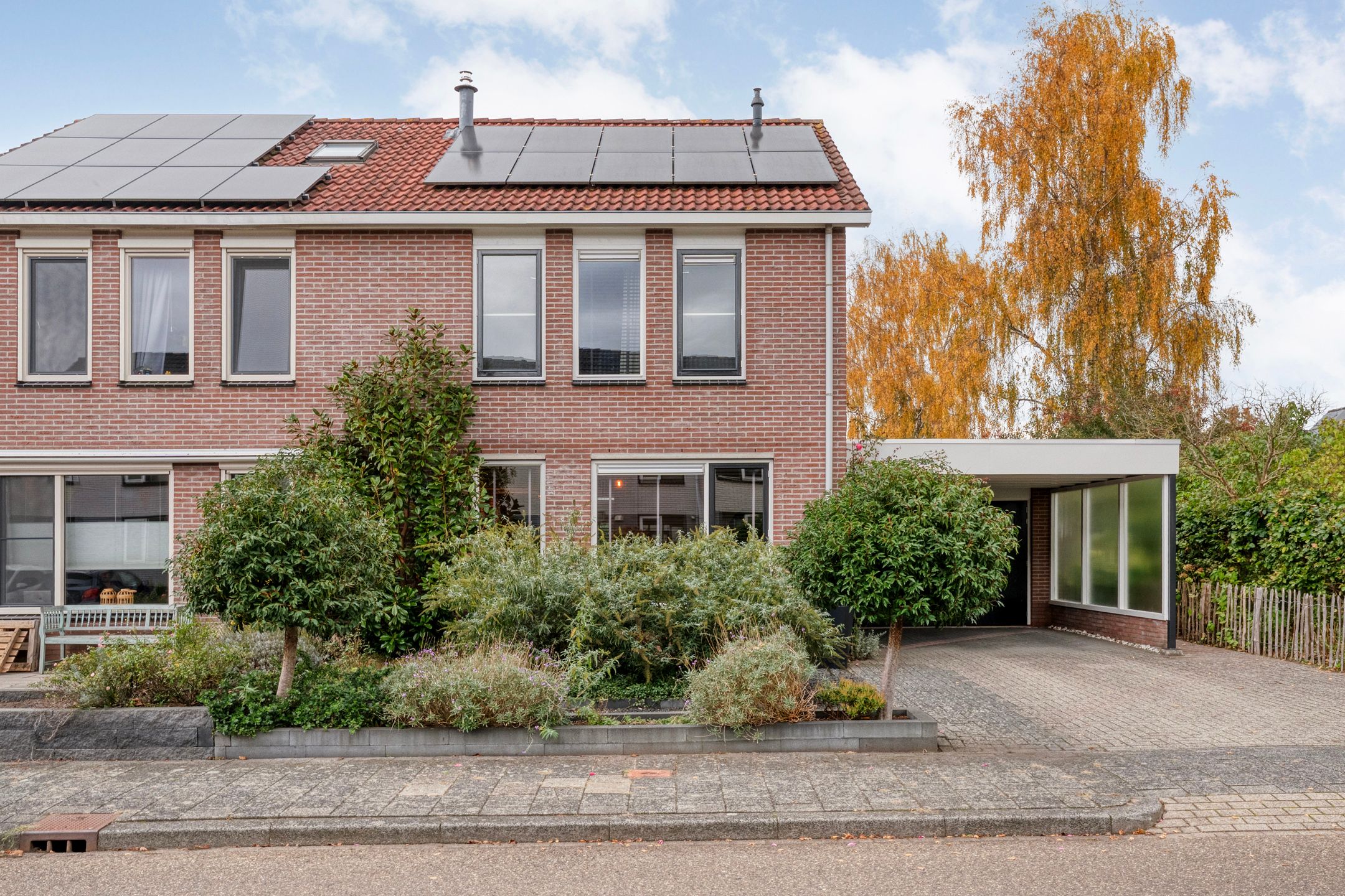 Photo 6 of Boterbloem 23