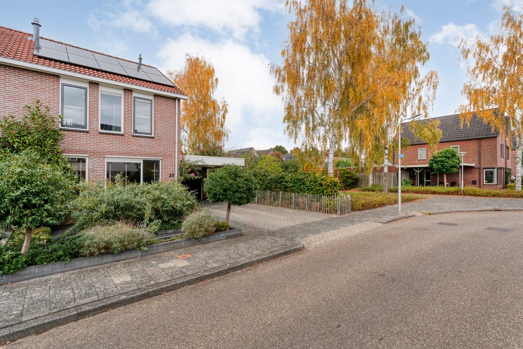 Photo 8 of Boterbloem 23