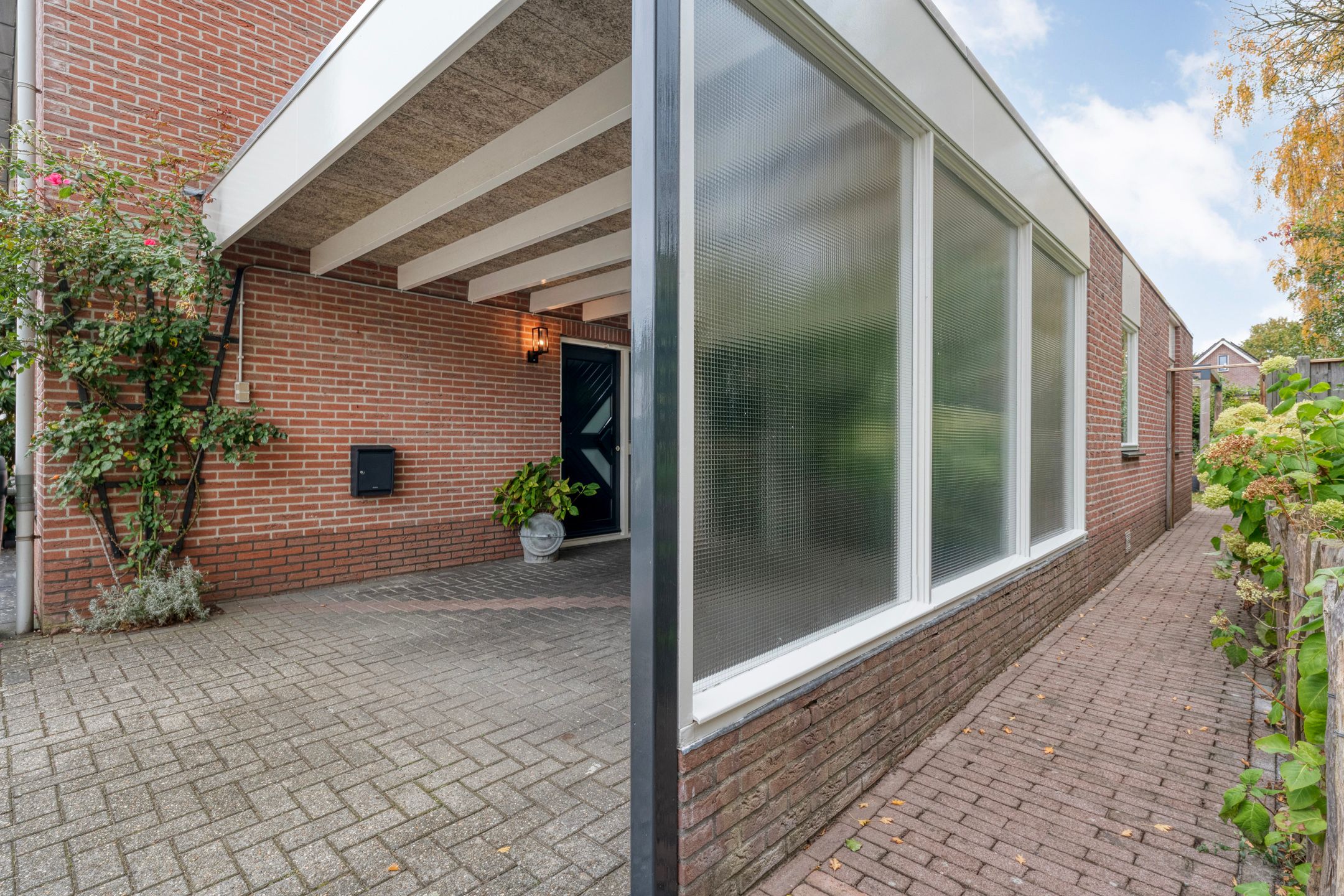 Photo 12 of Boterbloem 23