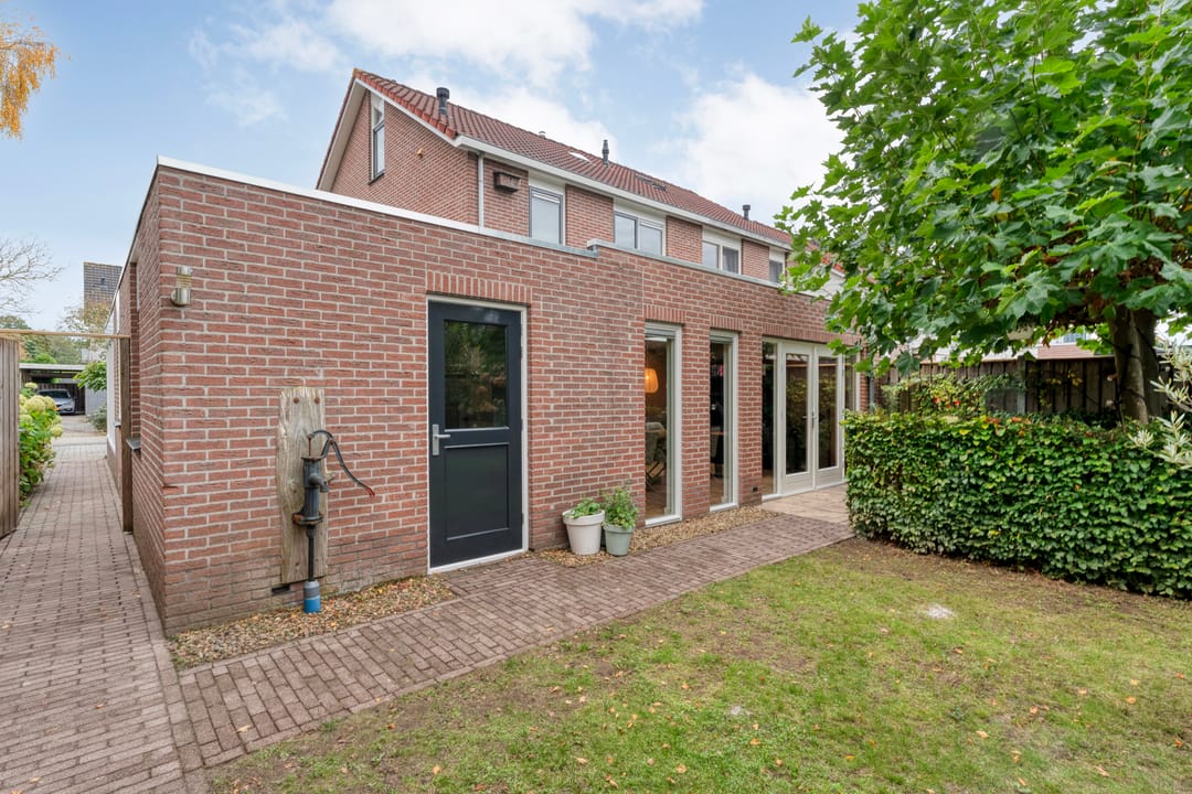 Photo 58 of Boterbloem 23