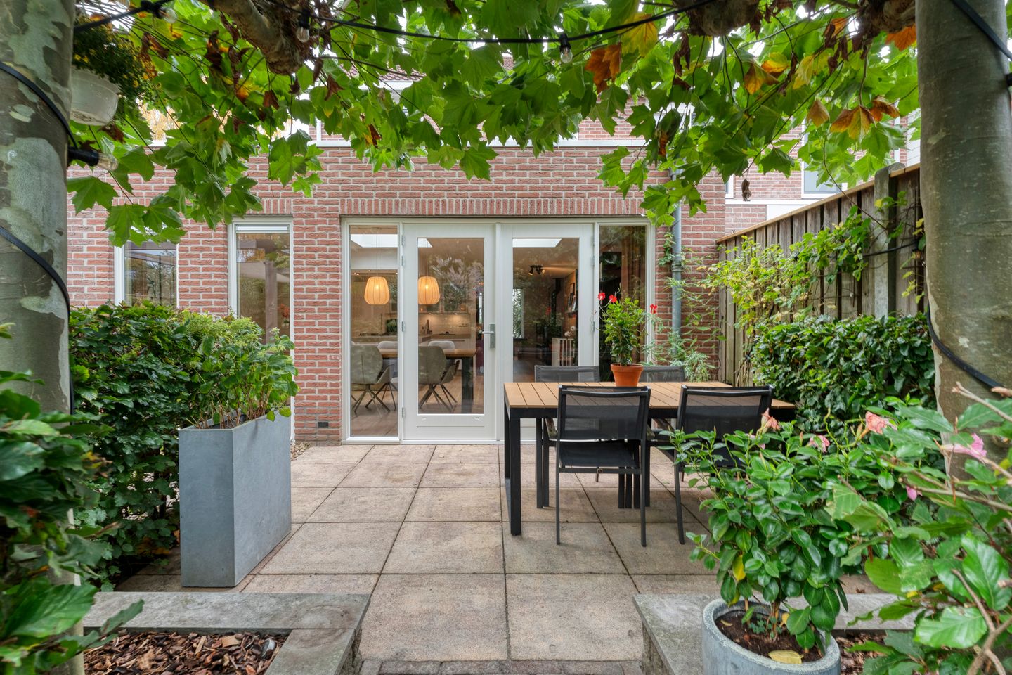 Photo 50 of Boterbloem 23