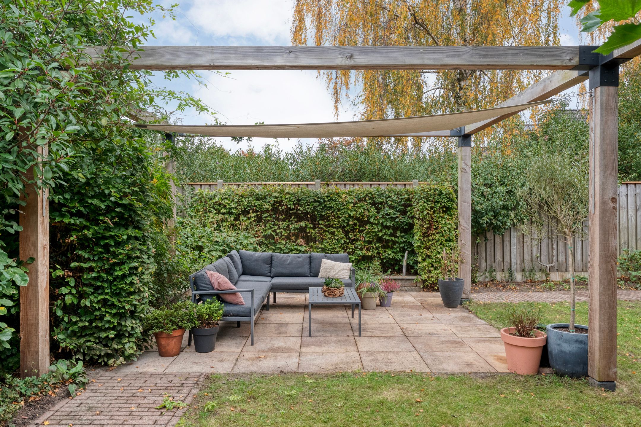 Photo 54 of Boterbloem 23