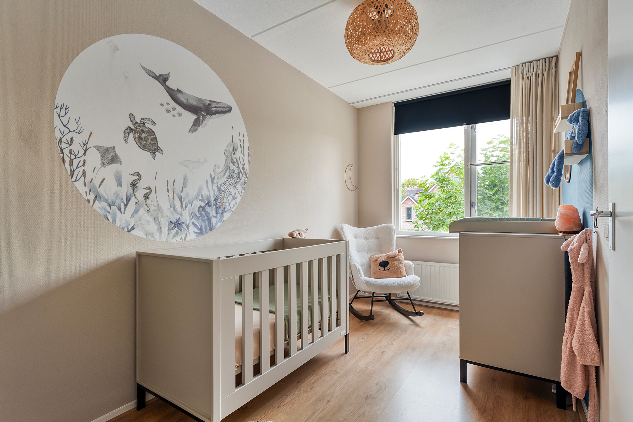 Photo 42 of Boterbloem 23