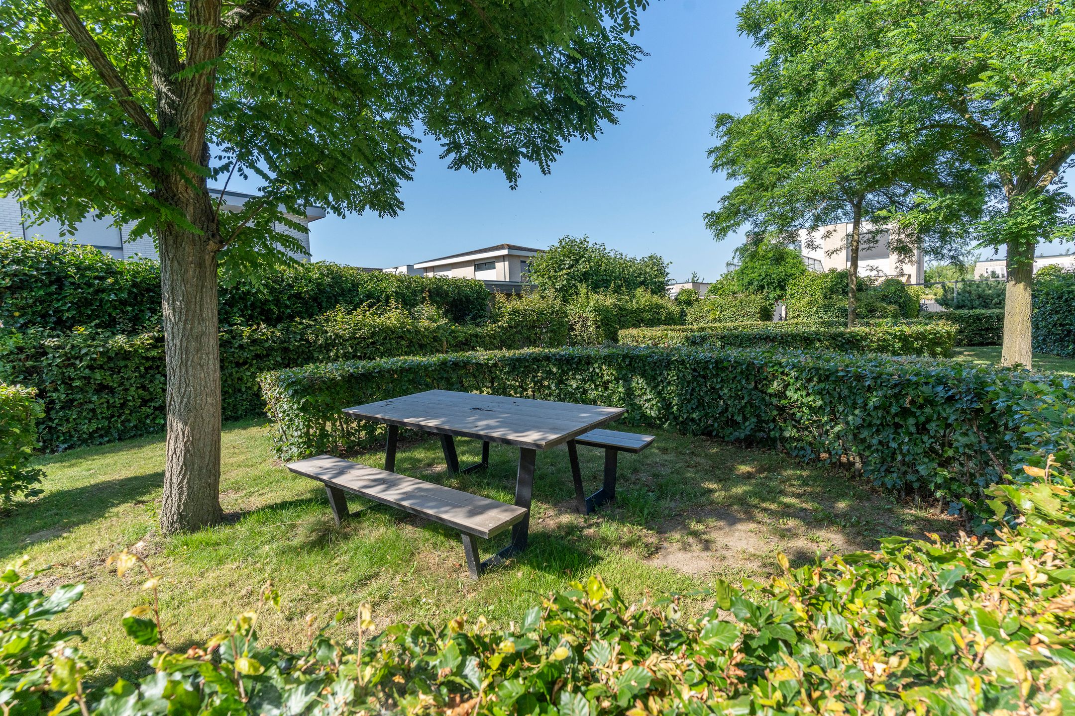 Foto 48 van Jupitersingel 18
