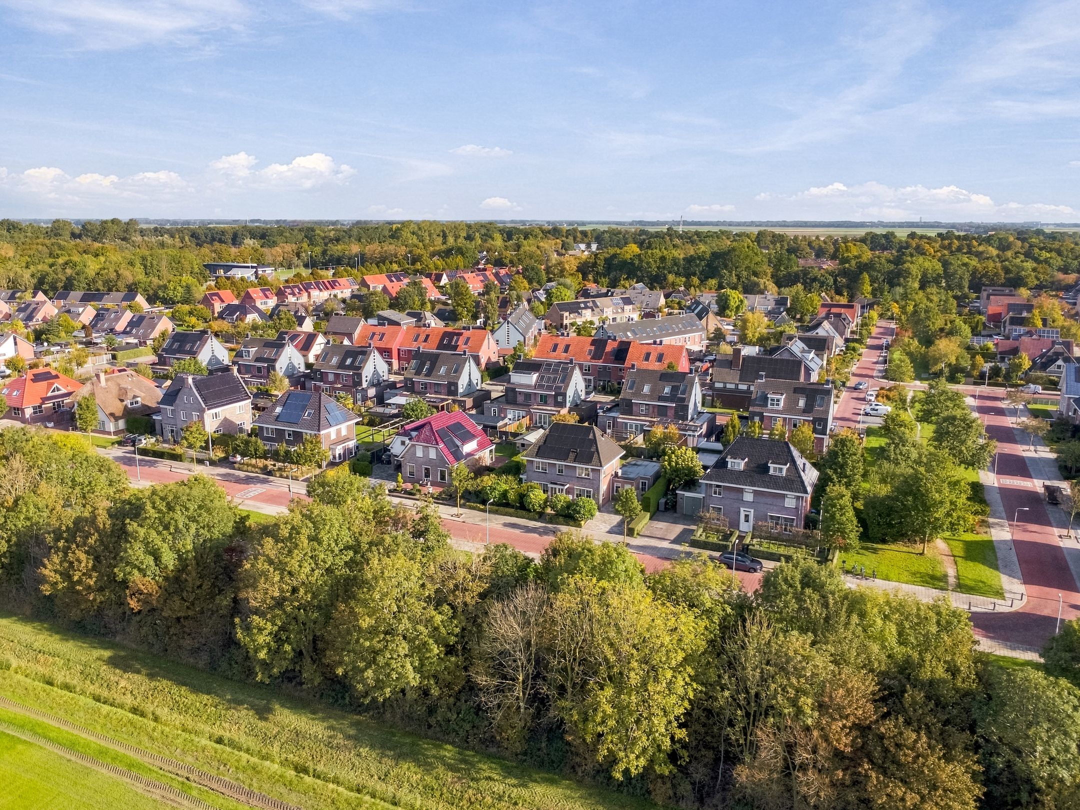 Photo 45 of Ganzenroer 4