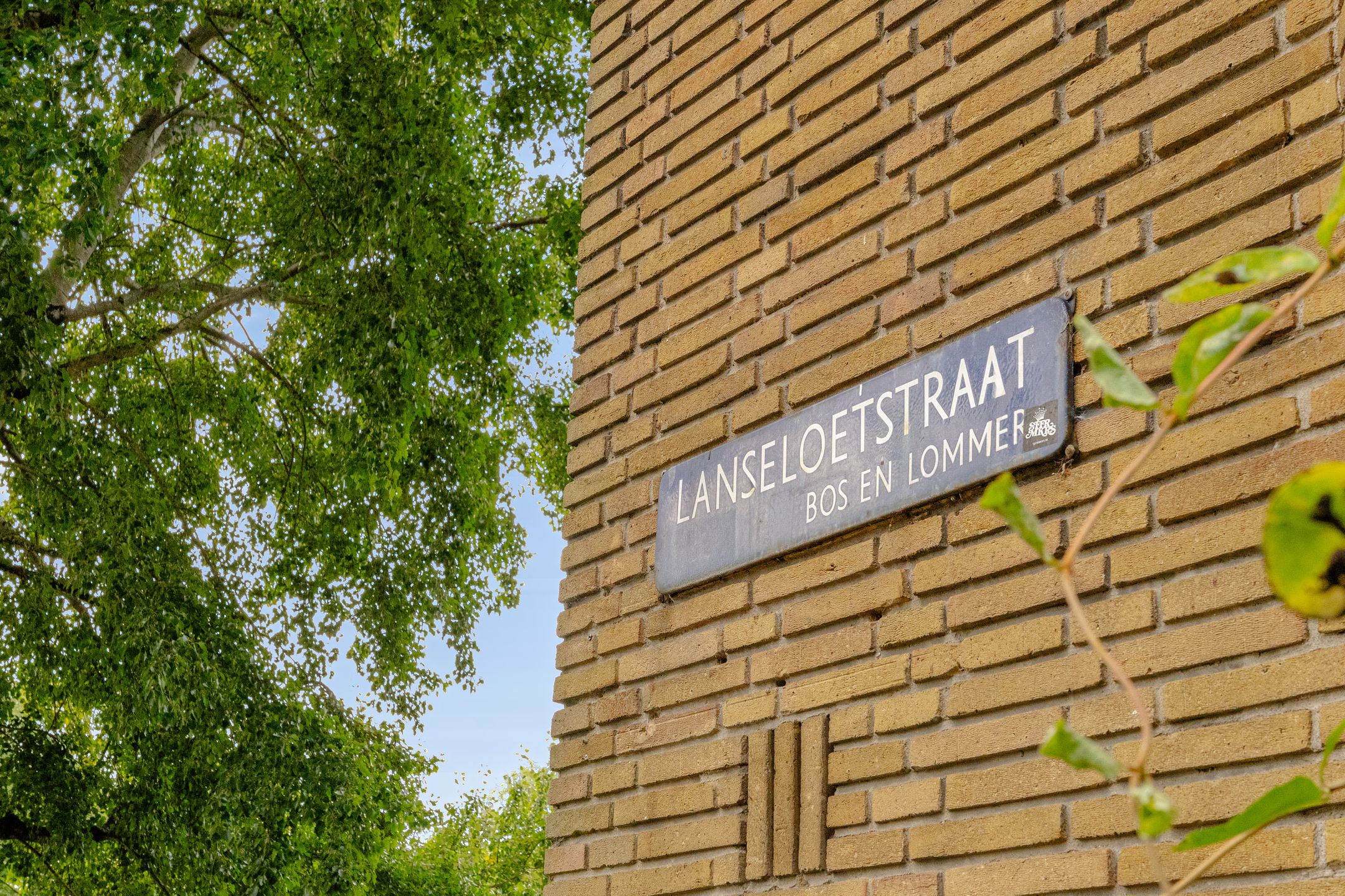 Photo 6 of Lanseloetstraat 1-H