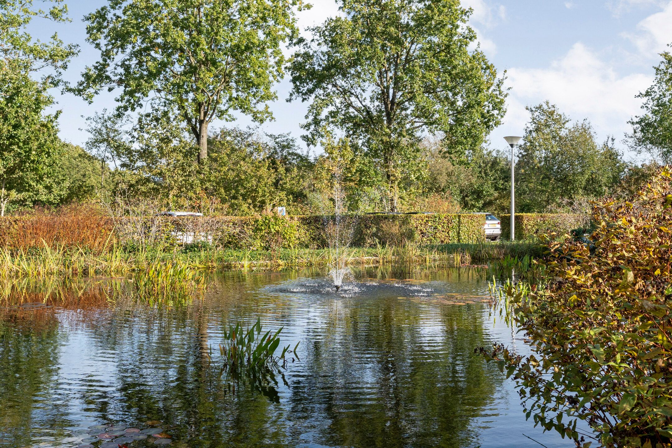 Photo 42 of Kolonieweg 3-27