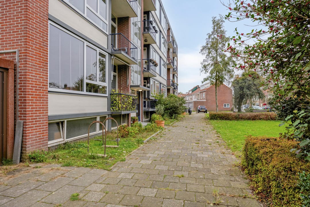 Foto 22 van Oude Bogerd 36-C