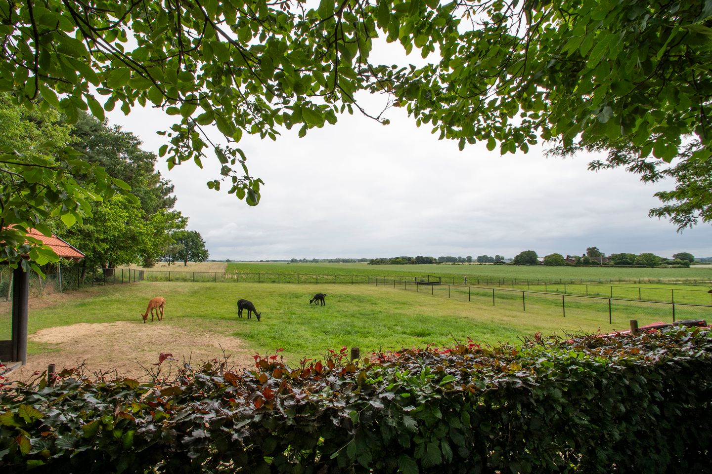 Photo 44 of Holstraat 8-B