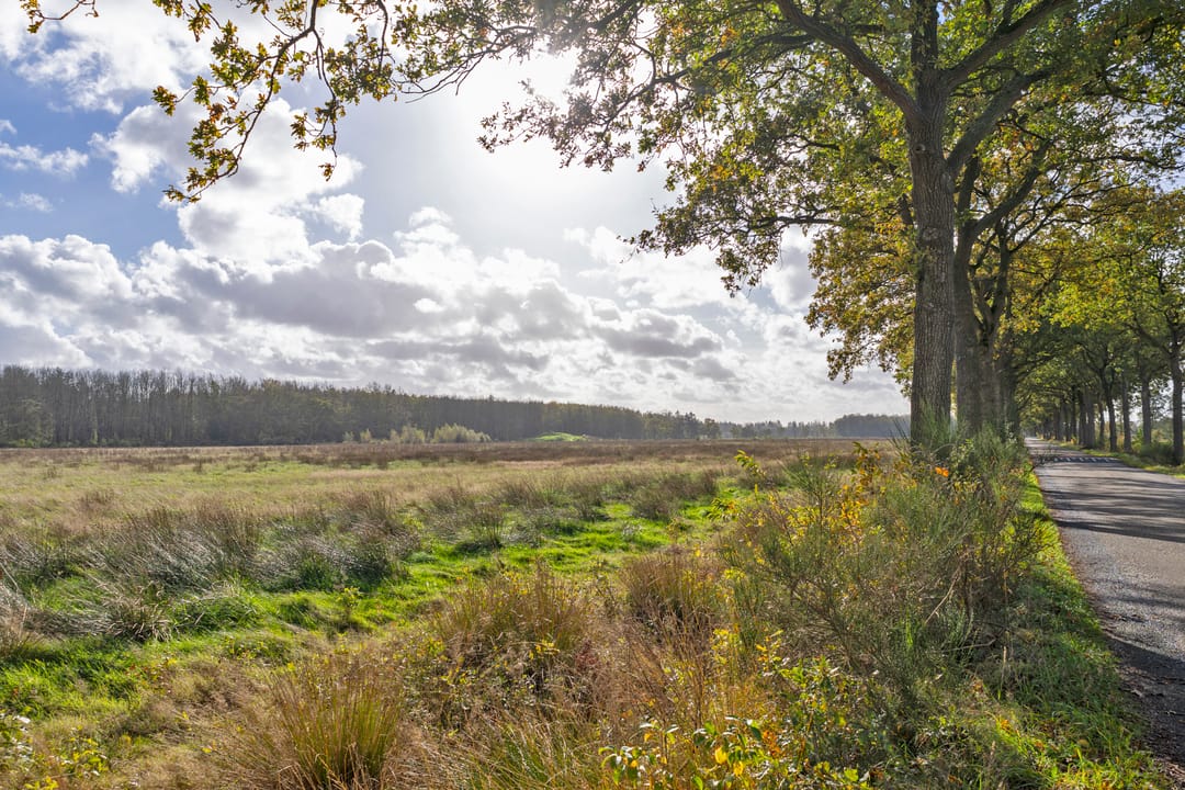 Photo 67 of Hulzebosstraat 14