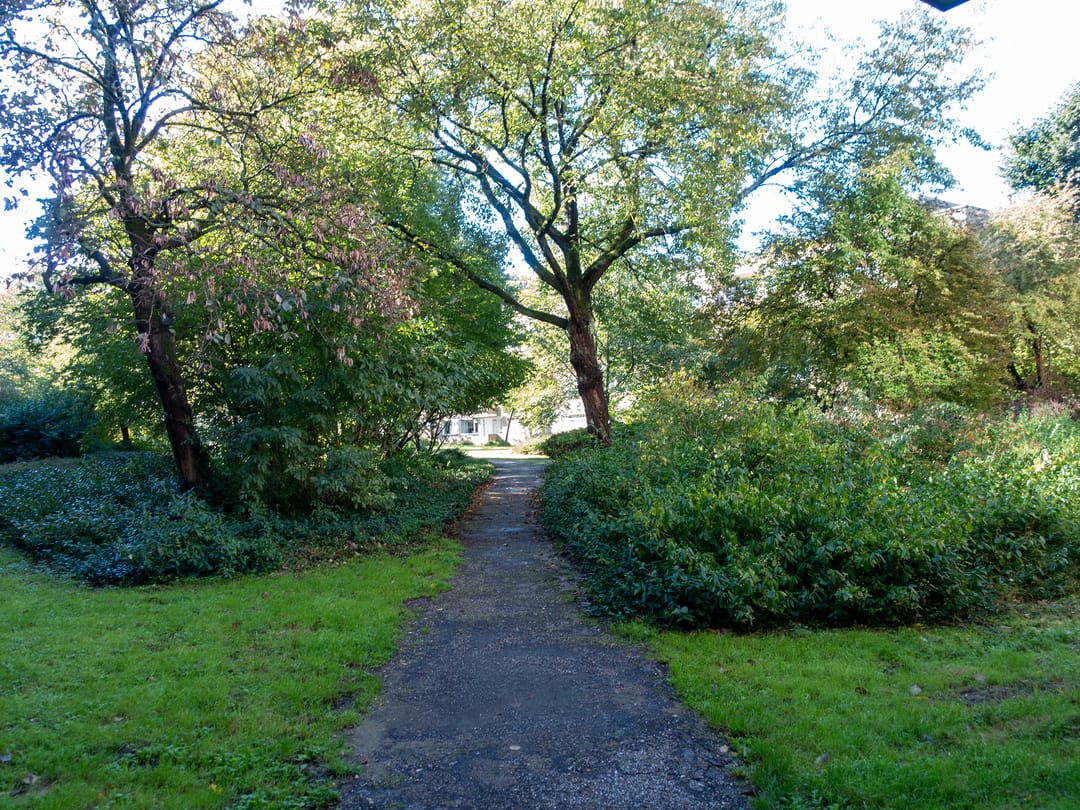 Photo 41 of Wildenborch 8