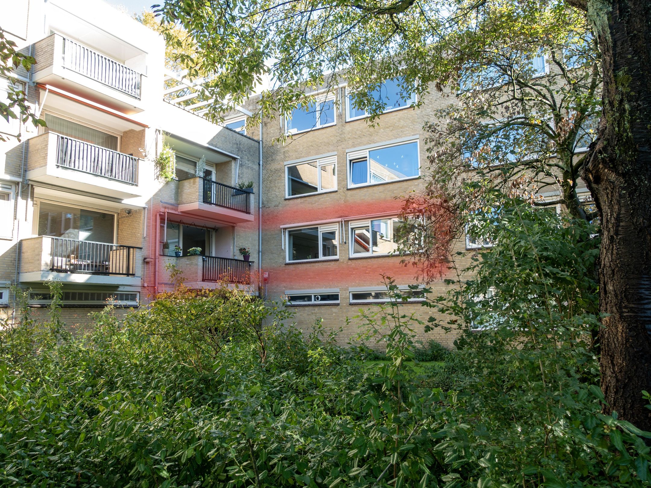 Photo 45 of Wildenborch 8
