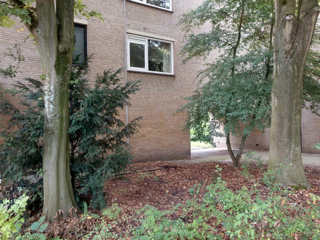 Photo 46 of Wildenborch 8