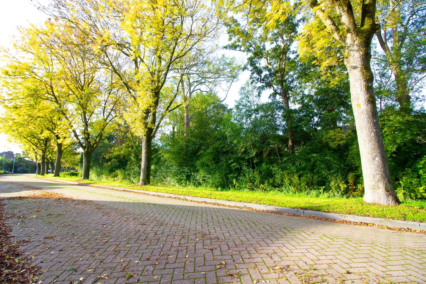 Foto 5 van Zeger Davidzonweg 13