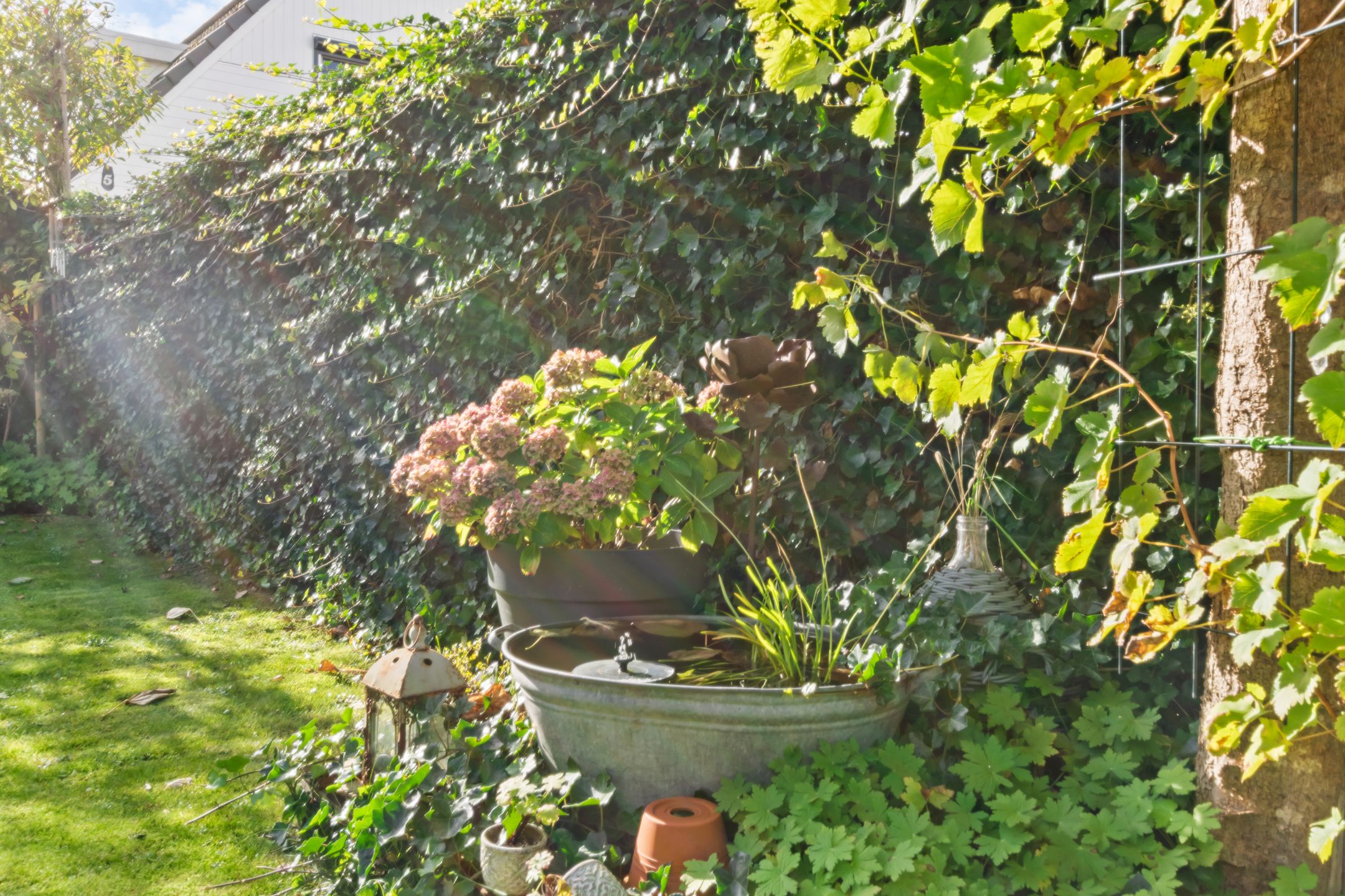 Photo 9 of Koningsveld 8