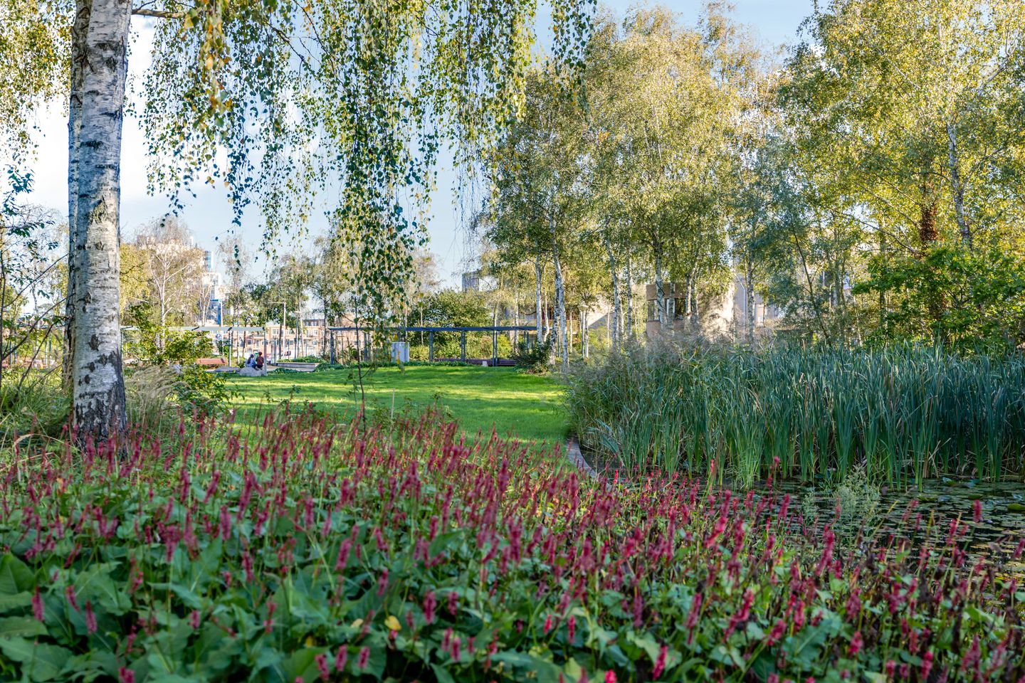 Foto 44 van Bartje Blomhof 2