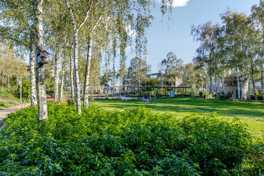 Foto 46 van Bartje Blomhof 2