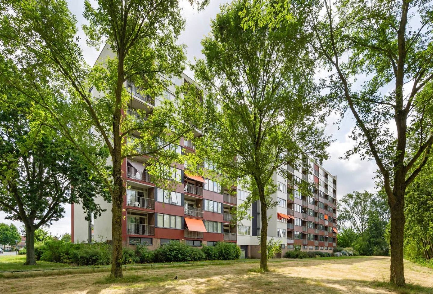 Foto 1 van Lelystraat 2-D36