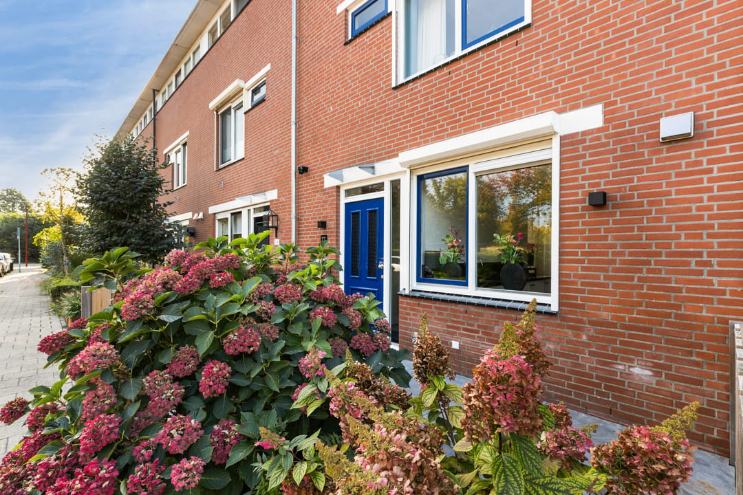 Photo 8 of Herman Gorterhove 27