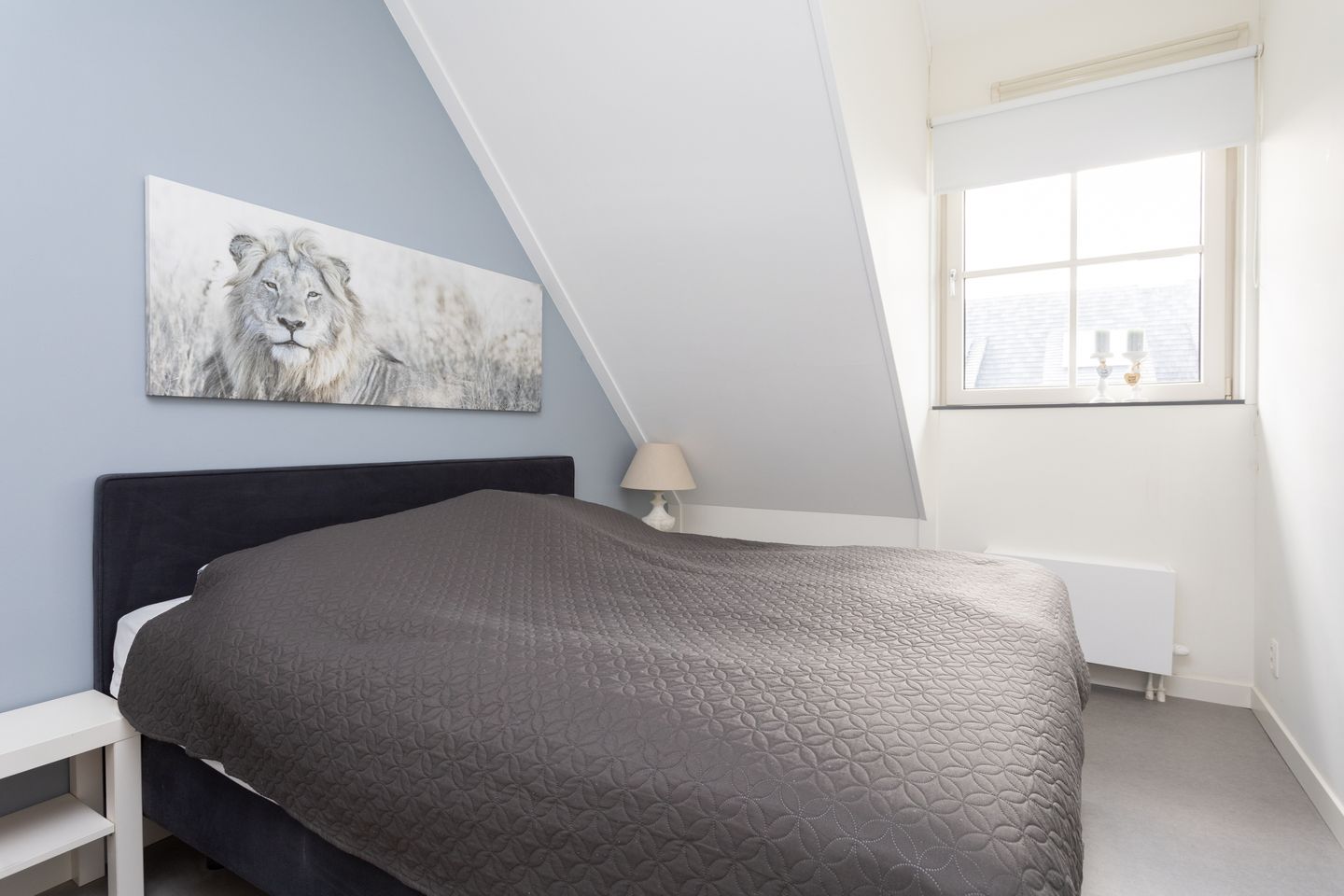 Foto 25 van Paul Steenbergenstraat 3